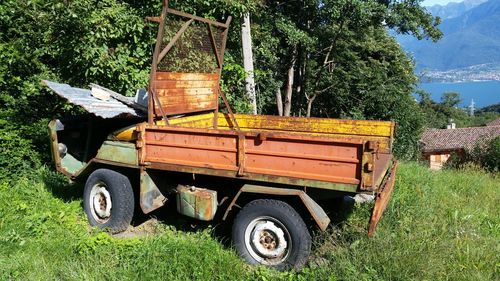 Old tractor on tree