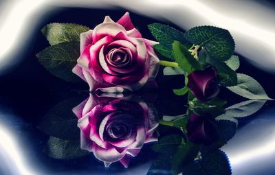 Close-up of rose bouquet