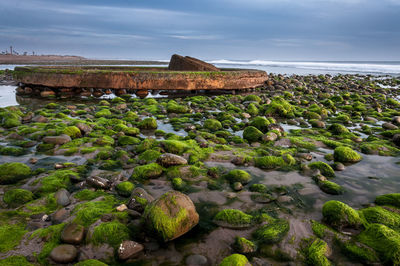 Rocks in sea