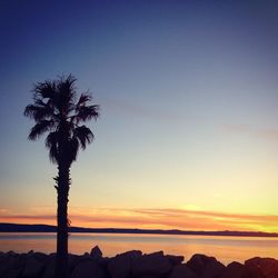 Silhouette palm tree at beach against sky during sunset