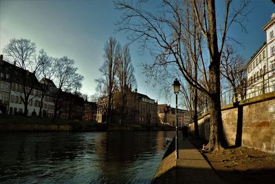 Bare trees by city against sky