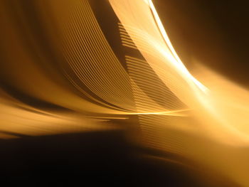The gradual rhythm of golden light trails