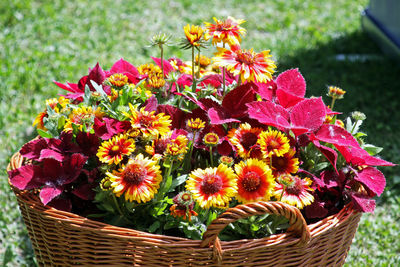 Close-up of fresh flowers in basket on field