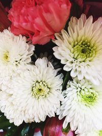 Close-up of flowers