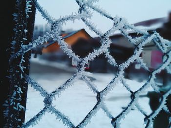 Close-up of snow on metal fence during winter