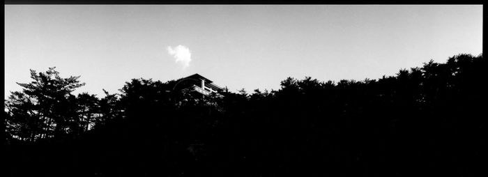 Low angle view of silhouette trees against sky