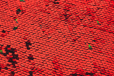 High angle view of red shadow on footpath