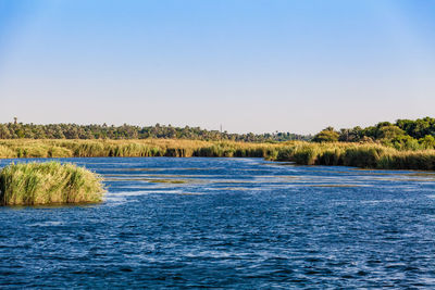 Scenic view of lake against clear blue sky