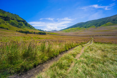 Scenic view of landscape against sky