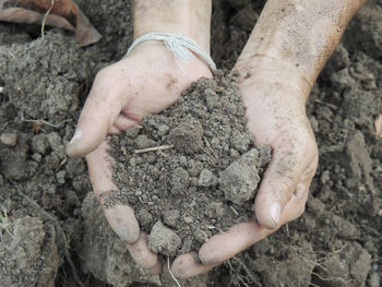 High angle view of hands holding soil