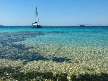 Sailboat sailing in sea against clear sky