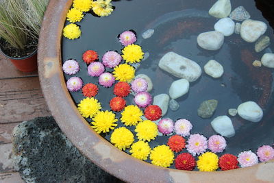High angle view of flowering plants in water