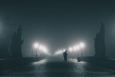 Rear view of man walking on street at night