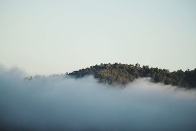 Trees on landscape against sky