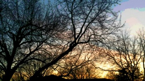 Low angle view of silhouette trees against sky