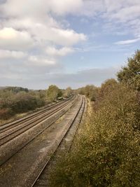 Railroad tracks amidst trees against sky