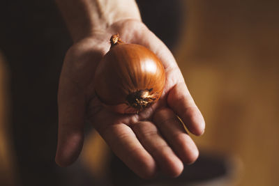 Close-up of hand holding apple