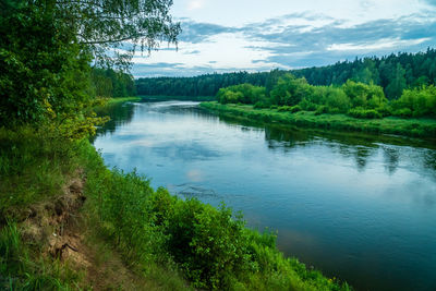 Scenic view of lake in forest against sky