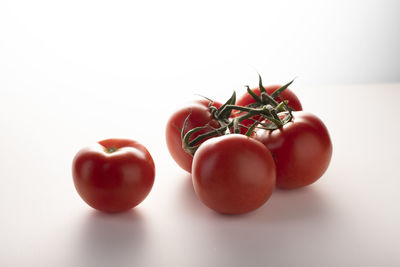 Close-up of tomatoes against white background