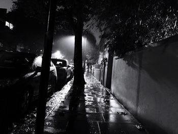 People on road by illuminated trees