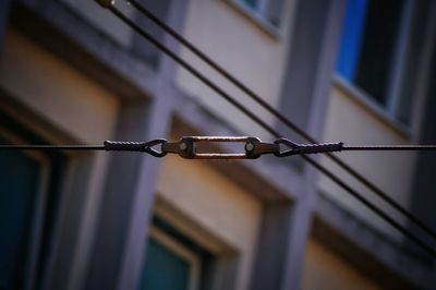 Close-up of carabiner