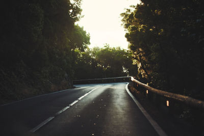 Empty road along trees