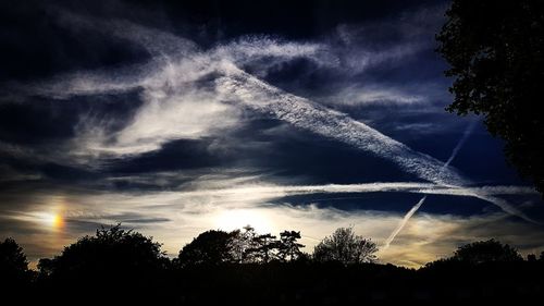 Low angle view of silhouette trees against sky during sunset