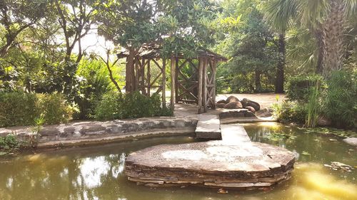 Reflection of trees in water