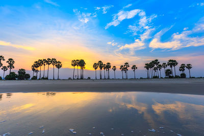 Palm trees on beach against sky during sunset