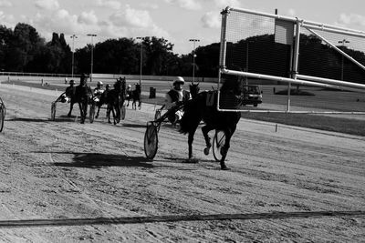 People riding horse cart