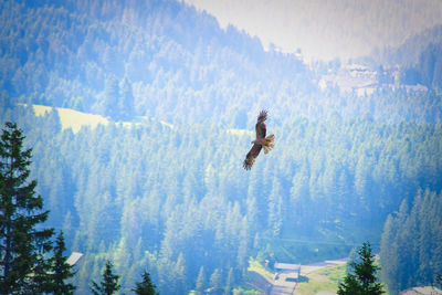 People in mid-air by forest against sky