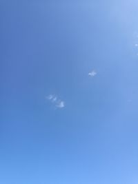 Low angle view of trees against clear blue sky
