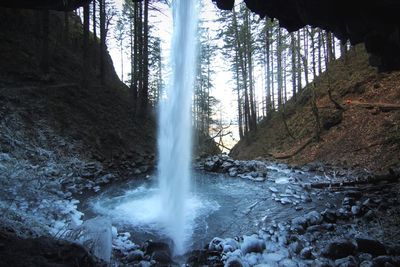 View of waterfall in forest