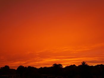 Silhouette trees against orange sky