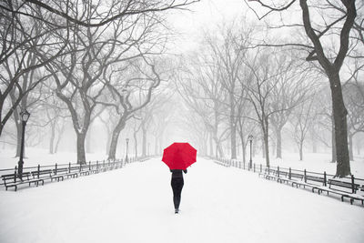 Rear view of woman carrying red umbrella during blizzard at central park