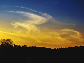 Silhouette trees against sky during sunset