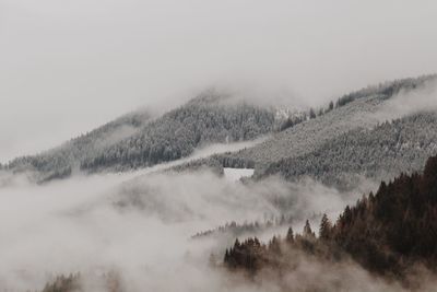 Scenic view of tree mountains against sky