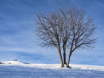 Winter landscape in the italian alps