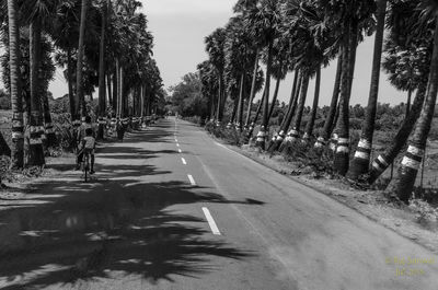 Road amidst palm trees against sky