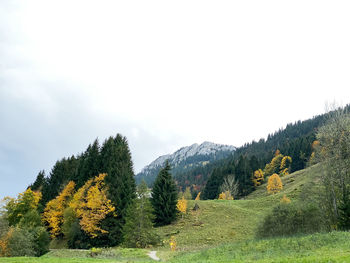 Trees on landscape against sky during autumn