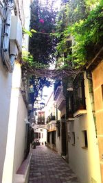 Narrow alley along houses