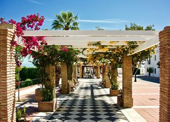 Footpath amidst trees and building against sky