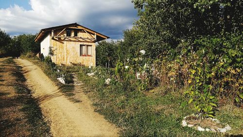 Plants by house against sky