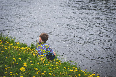 Rear view of man sitting on yellow flower