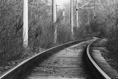 Railway tracks along trees