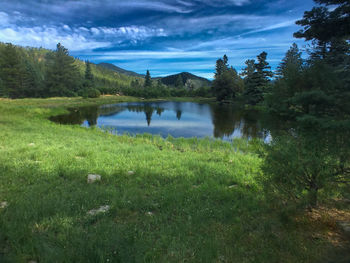 Scenic view of lake in forest against sky