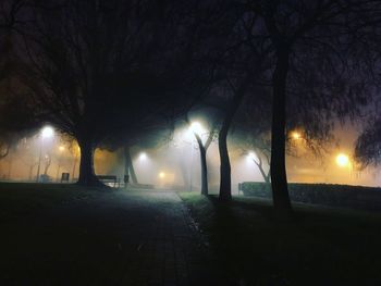 Illuminated street light at night during winter