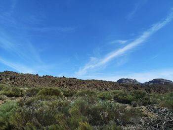 Scenic view of field against blue sky