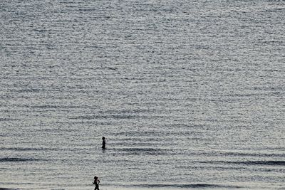 Reflection of people in sea