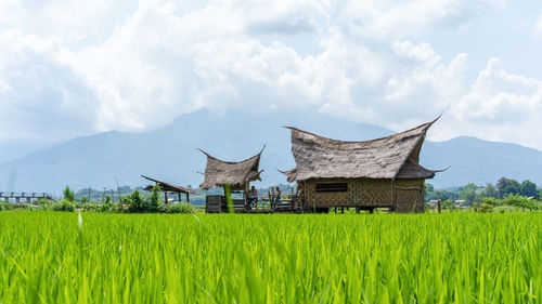 Traditional windmill on field against sky